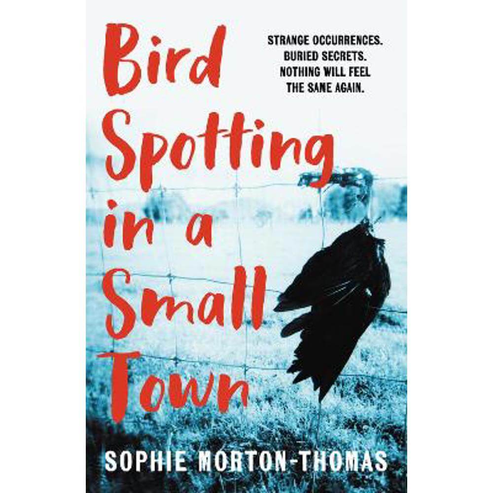 Bird Spotting in a Small Town (Paperback) - Sophie Morton-Thomas